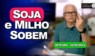 Tempo & Dinheiro
