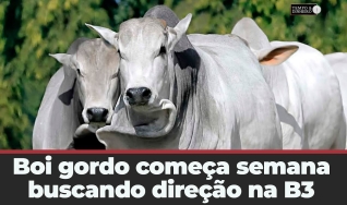 Tempo e Dinheiro