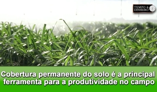 Tempo e Dinheiro, com João Batista Olivi