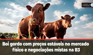 Tempo e Dinheiro