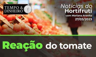 Tempo e Dinheiro
