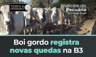 Sérgio Braga