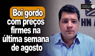 Tempo & Dinheiro