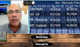 Boi gordo cai em 9 praças pecuárias com pressão de oferta