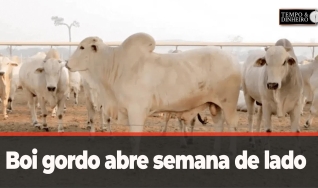 Tempo e Dinheiro