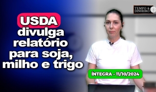 Tempo & Dinheiro