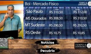 Boi gordo sobe e pecuarista dá as cartas. Bezerro acima de R$ 3 mil