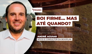 André Aguiar - Sócio e Consultor da Boviplan