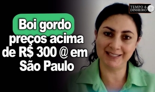 Shirley Menezes