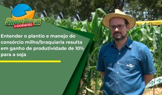 Henrique Debiasi - Pesquisador Embrapa Soja