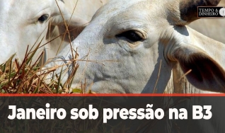 Tempo e Dinheiro