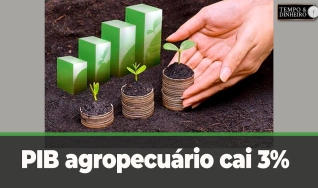 Tempo e Dinheiro