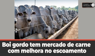 Tempo e Dinheiro