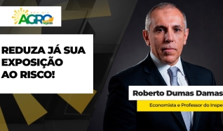 Roberto Dumas Damas - Economista e Professor do Insper
