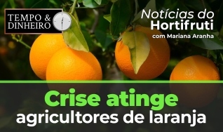 Tempo e dinheiro