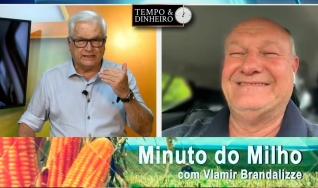 Vlamir Brandalizze