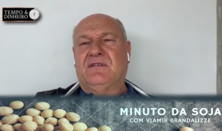 Vlamir Brandalizze