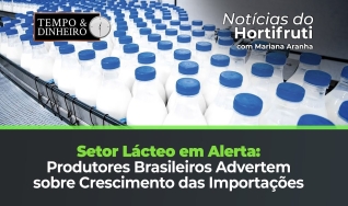 Tempo e dinheiro