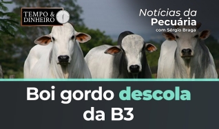 Noticias da pecuária