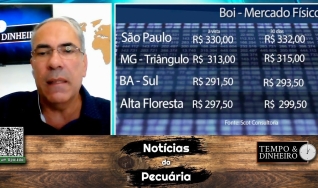 Boi gordo bate recorde em dólar mas é pressionado em reais