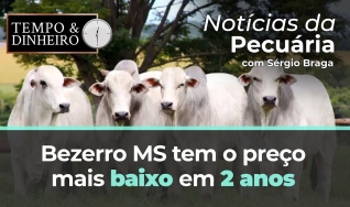 Tempo & Dinheiro
