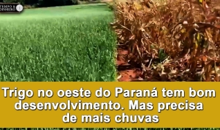 Tempo e Dinheiro, com João Batista Olivi