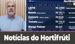 Tempo e Dinheiro