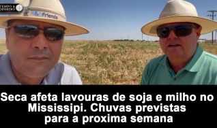 Tempo e Dinheiro, com João Batista Olivi