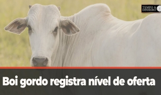 Tempo e Dinheiro