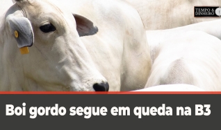 Tempo e Dinheiro