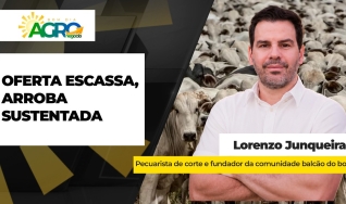 Lorenzo Junqueira