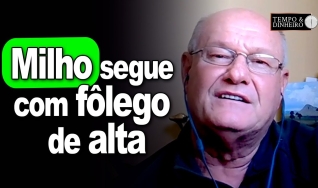 Tempo & Dinheiro