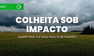Clima Tempo