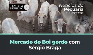 Sérgio braga