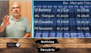 Mercado do Boi