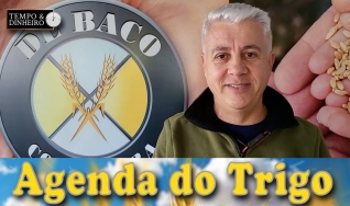 Tempo e Dinheiro