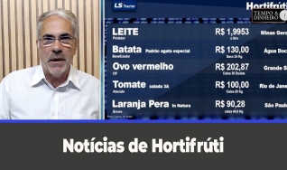 Tempo & Dinheiro