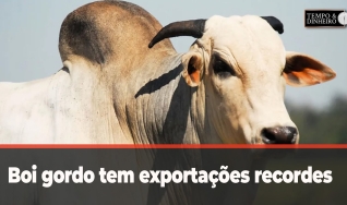 Tempo e Dinheiro