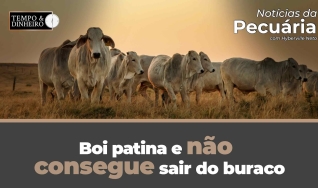 Tempo e Dinheiro