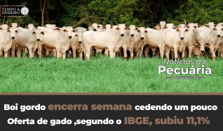 Tempo e Dinheiro