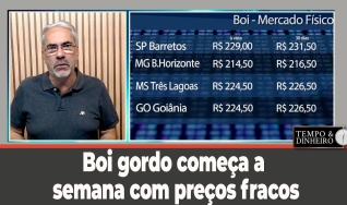 Tempo e Dinheiro