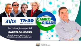 Mercado de feijão precisa explorar benefícios para a saúde e produção de novas variedades