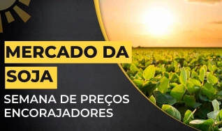 Aaron Edwards - Consultor de Mercado da Roach Ag Marketing