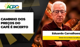 Eduardo Carvalhaes - Diretor do Escritório Carvalhaes