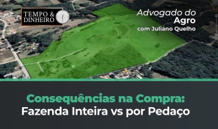 Tempo e dinheiro