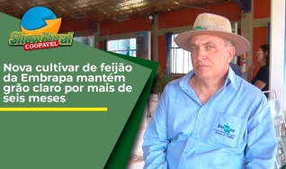 Marcos Aurélio Marangon - Analista da Embrapa Arroz e Feijão