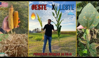 Agro Connection