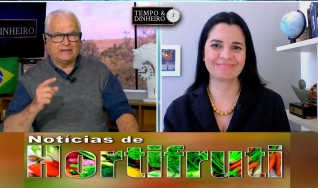 Tempo e Dinheiro