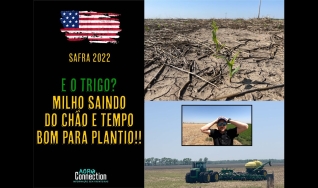 Agro Connection
