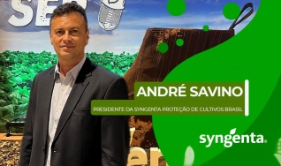 André Savino